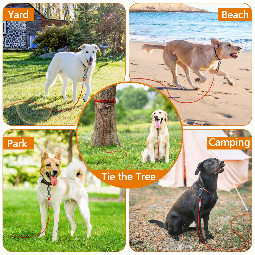 XiaZ outdoor tie-out supports camping and yard time with visible, safe tether.