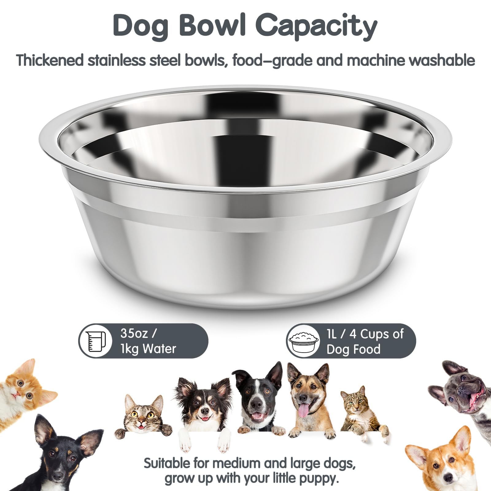 XIAZ silent-strip-elevated-dish quiet feeding reduces noise.