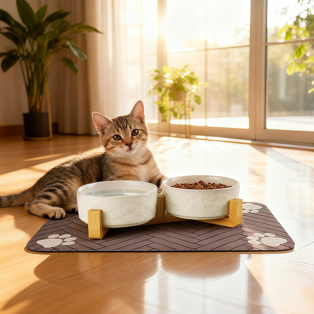 Xihan feeding set designed for medium dogs during meals.