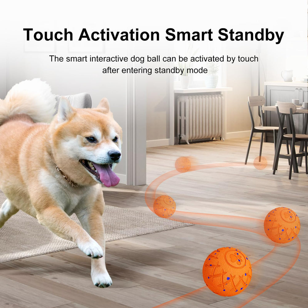 XINGZUAN 3.14 inch diameter ball fits medium to large dogs for sturdy engagement.