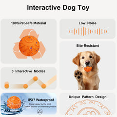 XINGZUAN interactive dog ball demonstrates dynamic bouncing for active dogs.