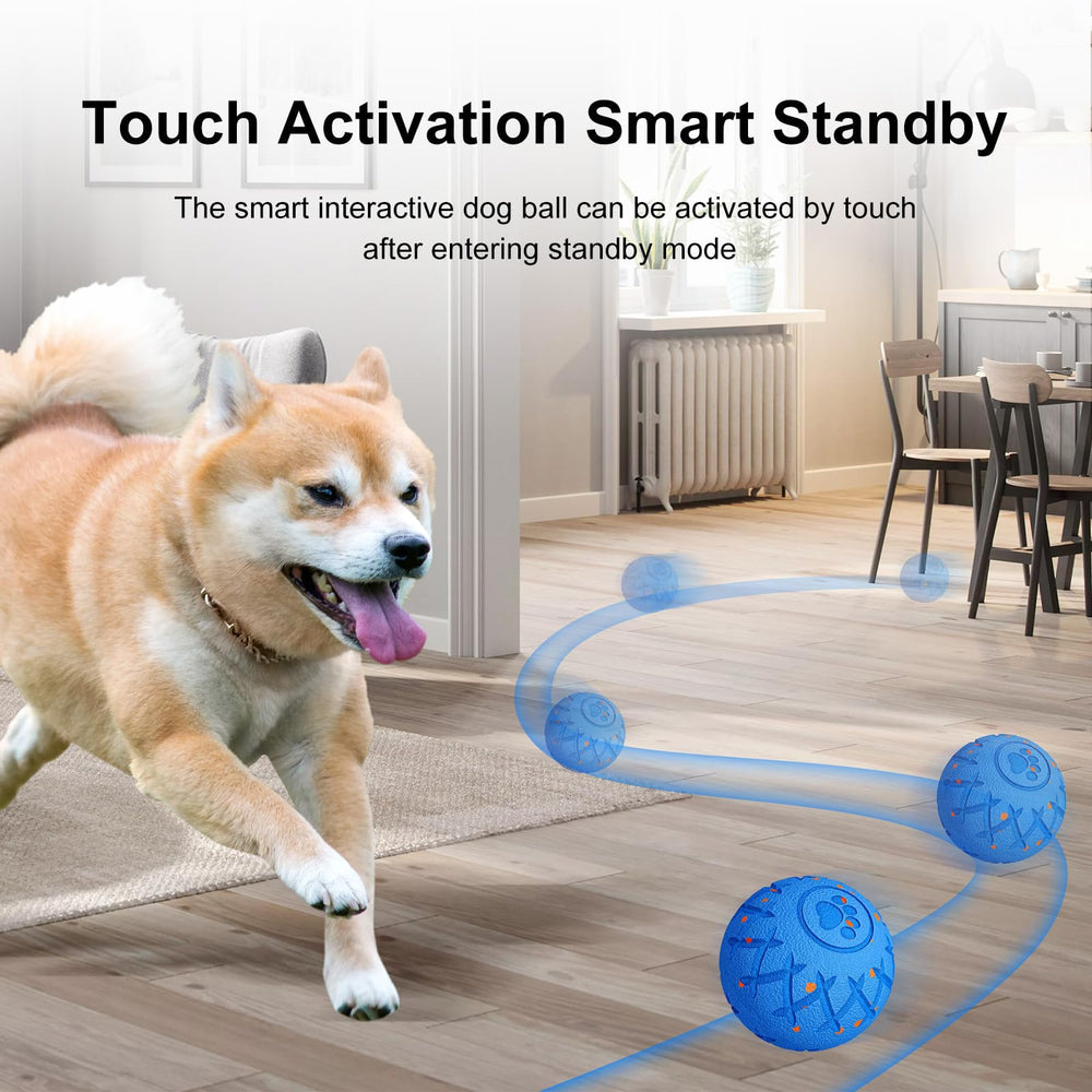 XINGZUAN Interactive Dog Ball dog-busy-playtime blue captures stimulating exercise.
