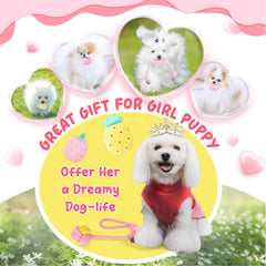 XIUGOAL rope toys for fetch and tug-of-war with active puppies