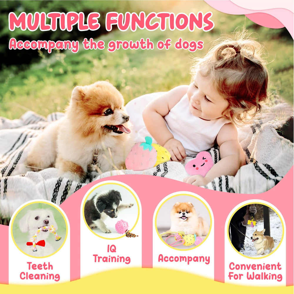 XIUGOAL treat ball challenges a puppy's mind during play