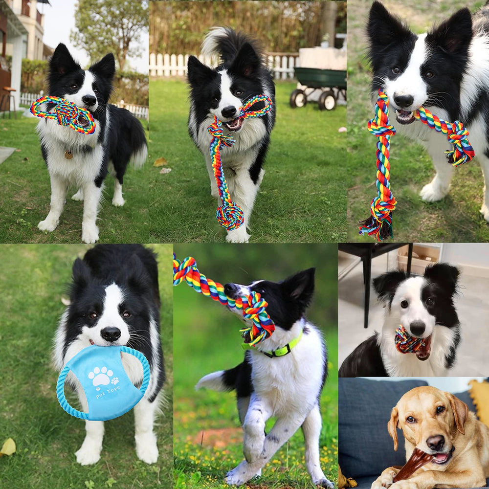 XLMYS dog toy variety supports indoor and outdoor fun.