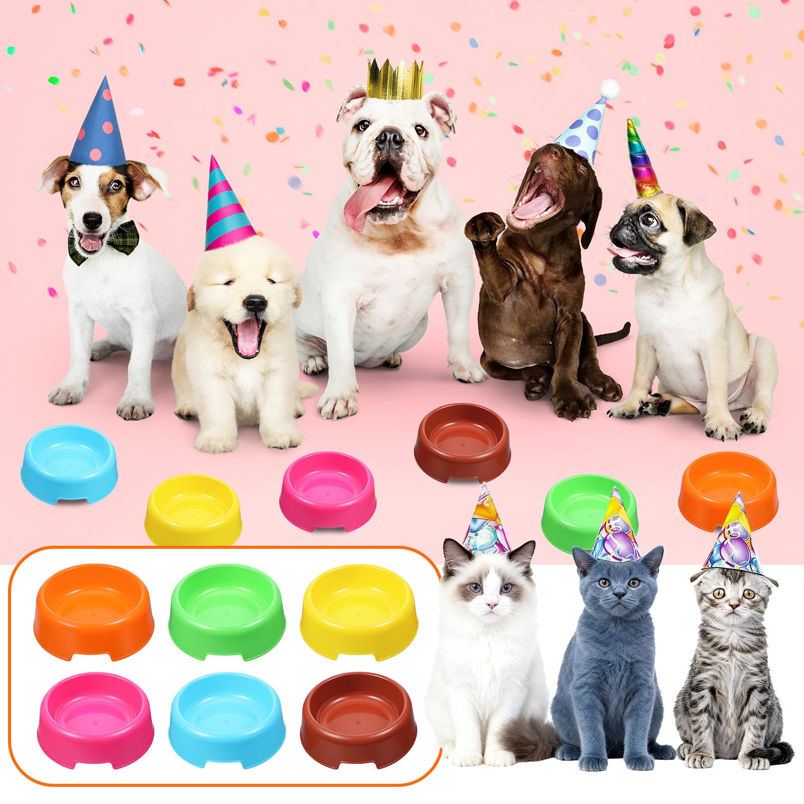 xozeooeu pet bowls multi-pet use suitable for puppies, kittens, and small pets