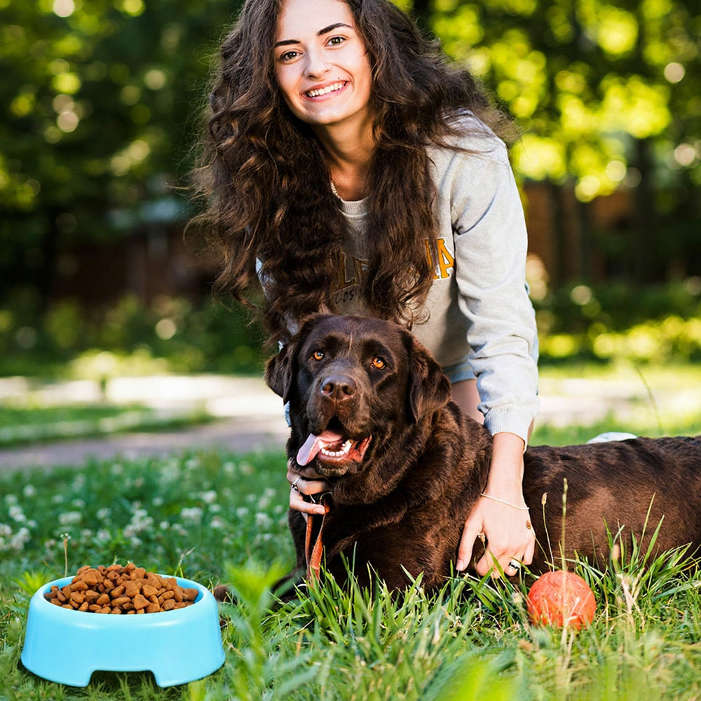 xozeooeu pet bowls portable indoor-outdoor design ideal for home or picnic trips