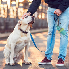 XPAPOV built-in bag dispenser keeps waste bags ready during walks.