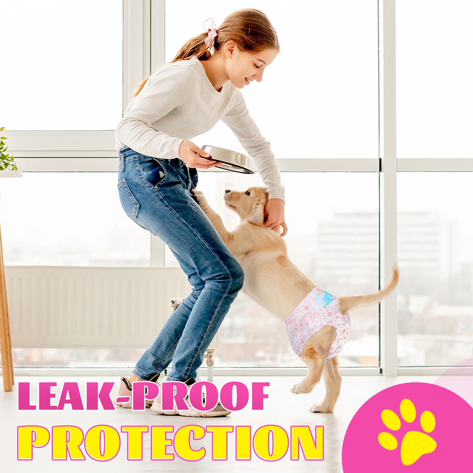XPCARE small-breed-fit shown on dachshund for secure daily wear.