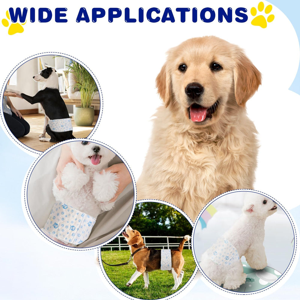 XPCARE dog diapers protecting furniture and car seats from accidents