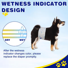 XPCARE small-size dog wrap secured on a tiny breed for a secure fit