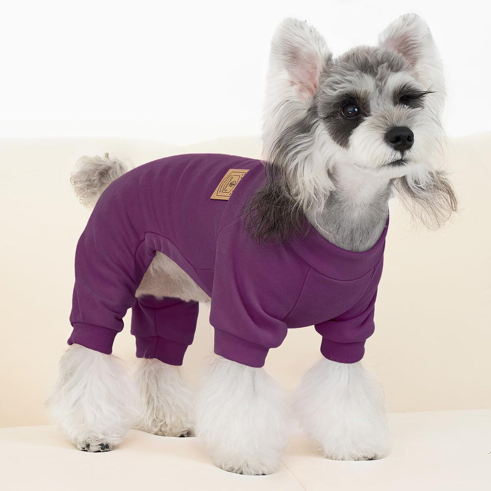 XPUDAC easy-pullover design demonstrated on a dog model for everyday comfort.