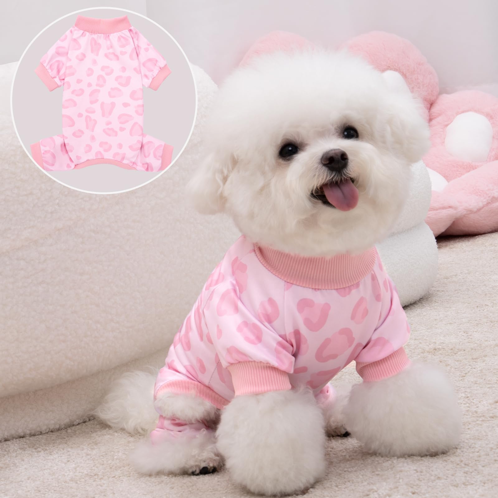 XPUDAC cute pattern design on pet clothes adds fashionable, cheerful vibes