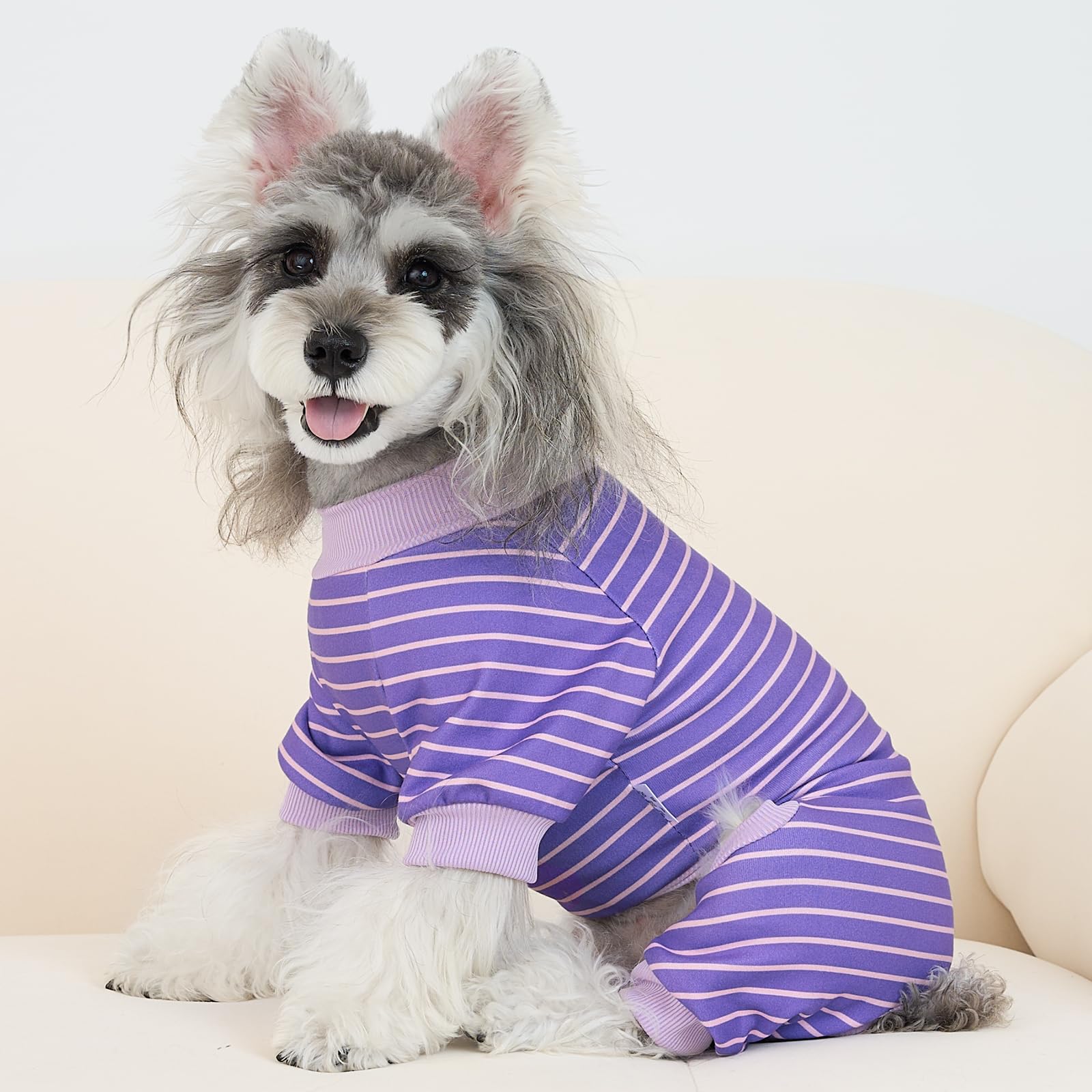 XPUDAC striped dog pajamas worn by a cozy pup during relaxing at home