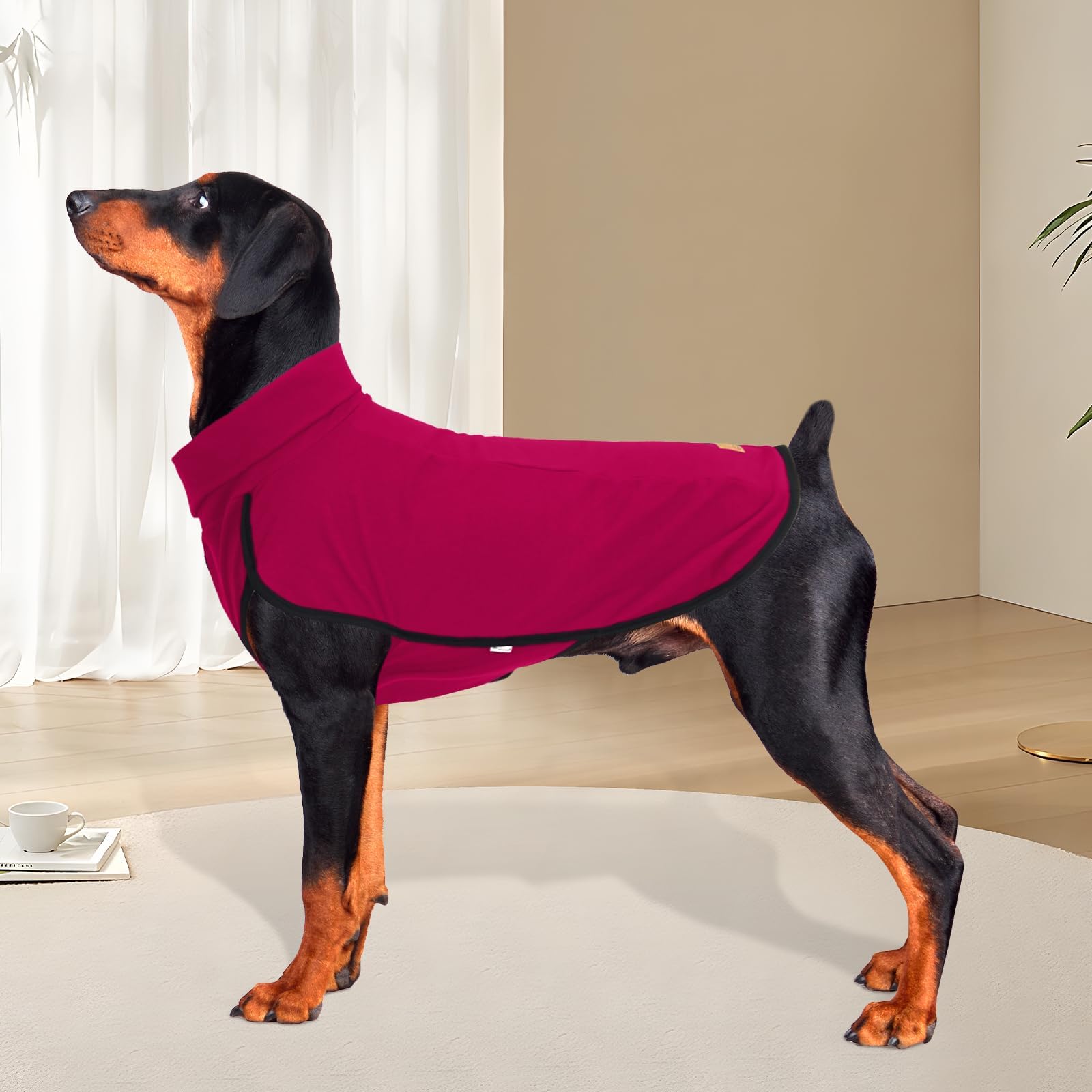 XPUDAC dog sweater worn during park walk and holiday photos for stylish warmth.
