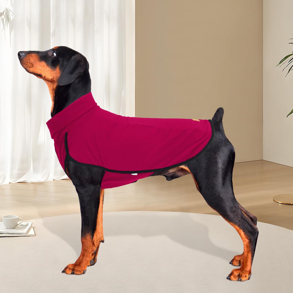 XPUDAC dog sweater worn during park walk and holiday photos for stylish warmth.