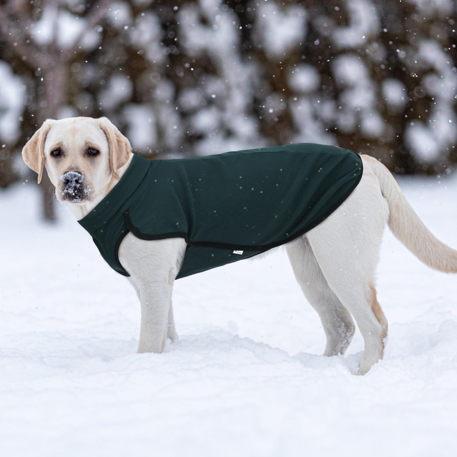 XPUDAC dog sweater warm fleece close-up emphasizes soft fabric and daily comfort.