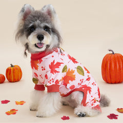 XPUDAC dog clothes fall design festive pumpkins and turkeys