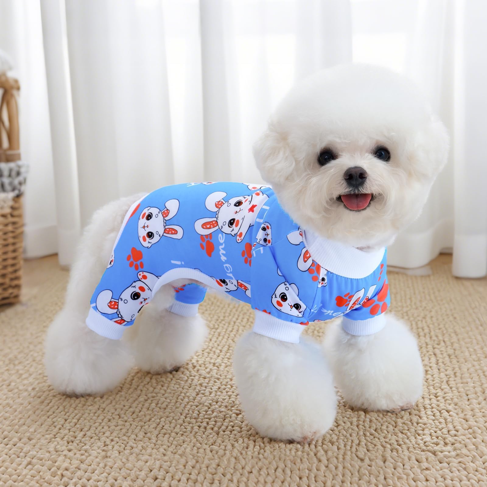 XPUDAC festive dog outfits show patterns for home, parties, and holidays.