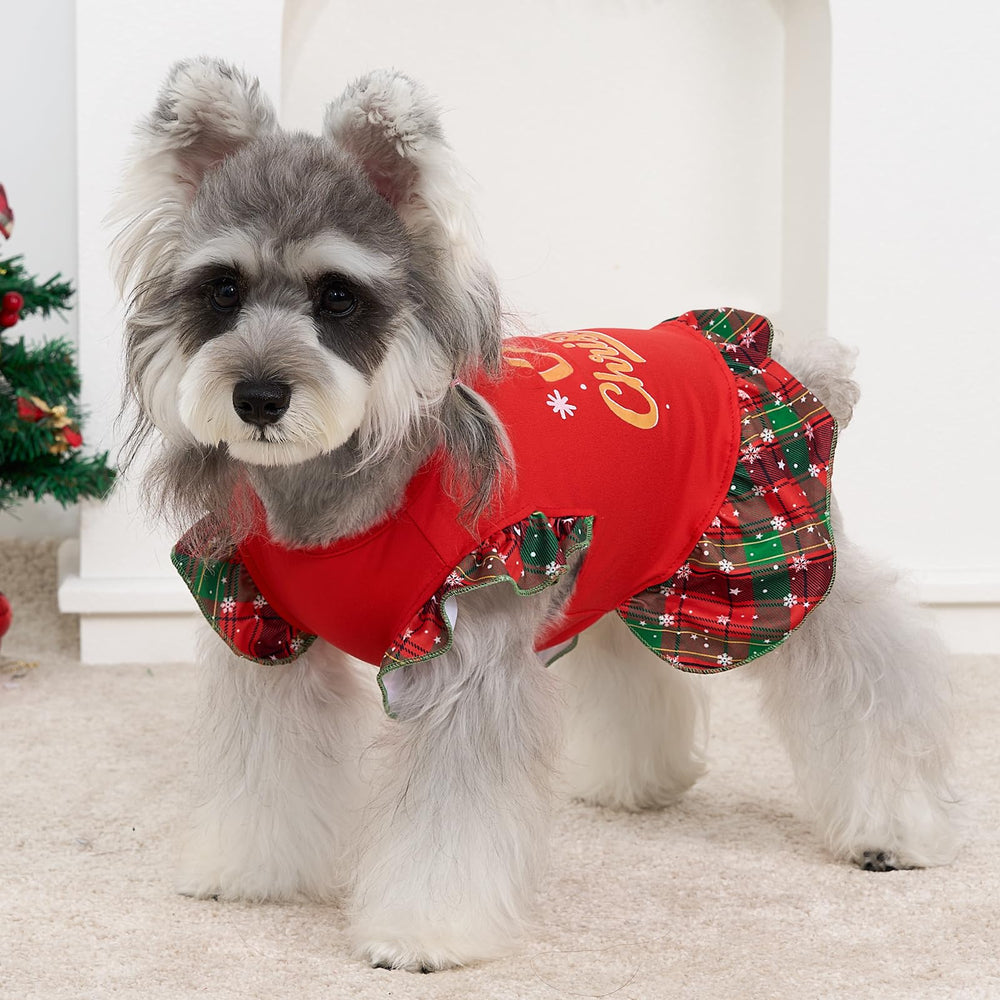 XPUDAC holiday dog photo-ready outfit on small pet for photos.