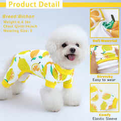 XPUDAC dog pajamas fruit-patterned design enhances cute look for playtime and photos