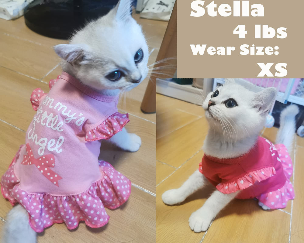 XPUDAC Pink Angel Dress worn on a dog—easy dressing for small companions.