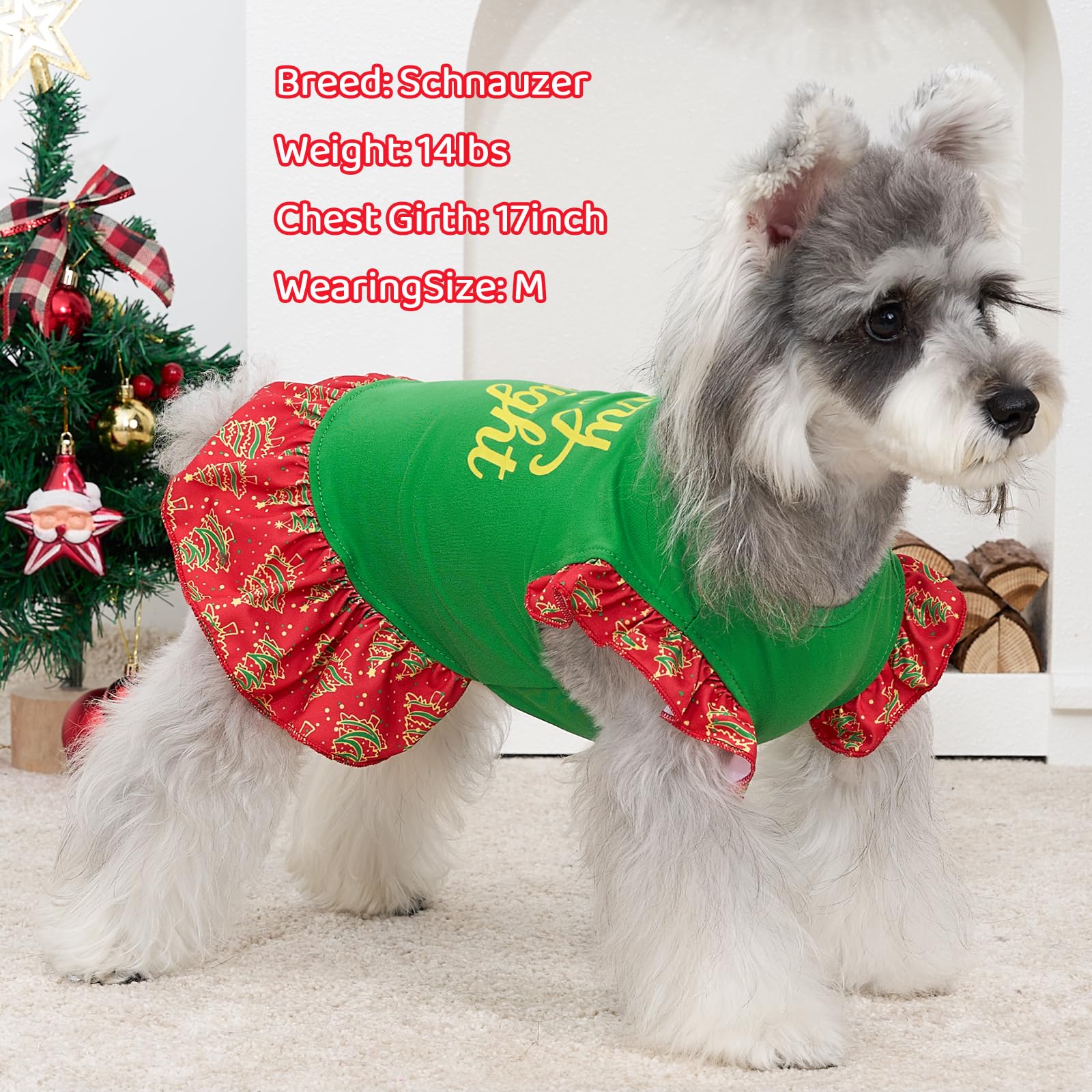 XPUDAC plaid dress green pattern on dog for party-ready look.
