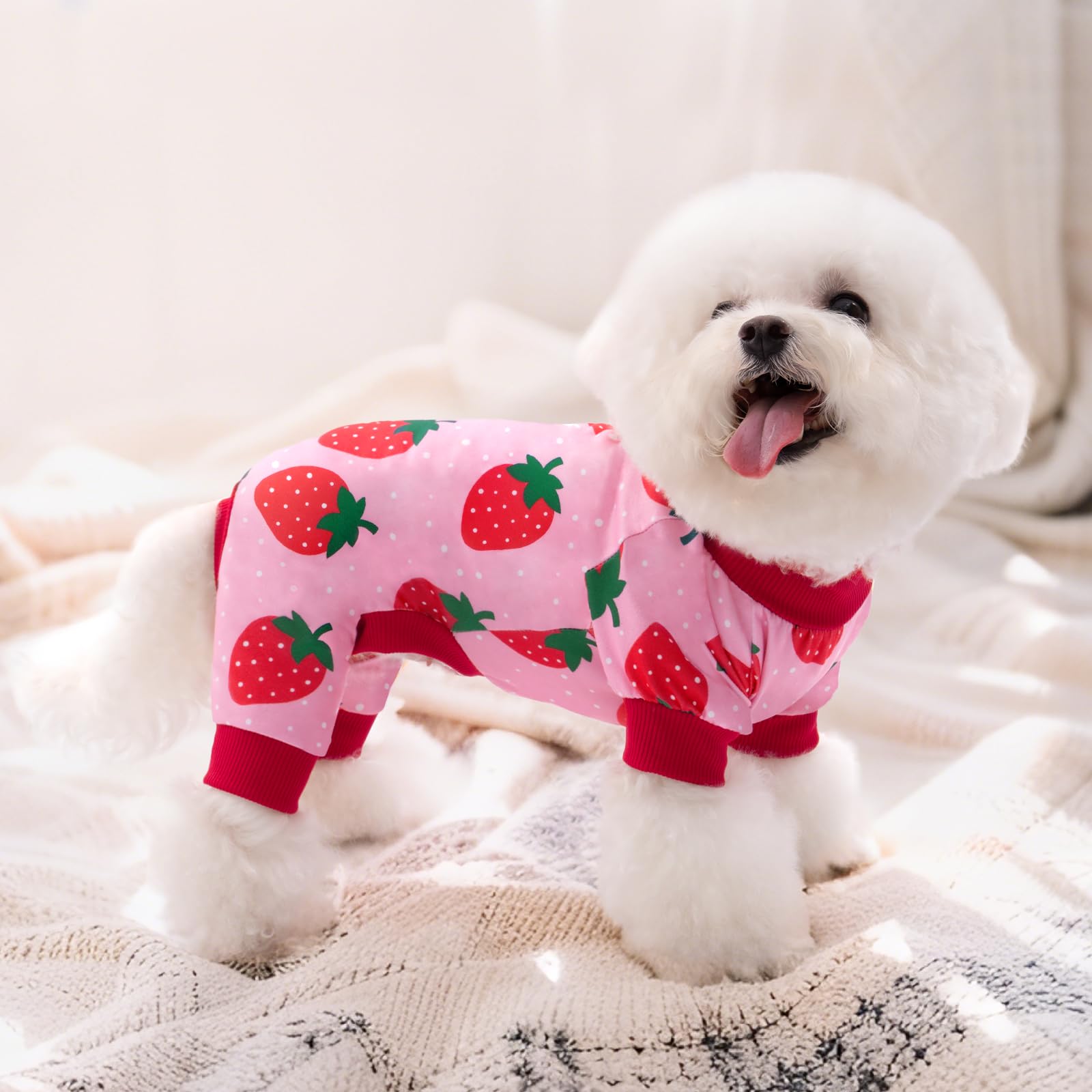 XPUDAC rubber-band-bottom-dog-pajamas ensure snug fit for active small dogs.