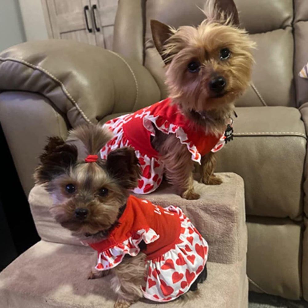 XPUDAC small-dog clothes floral dresses pack for teacups and terriers, easy color variation.