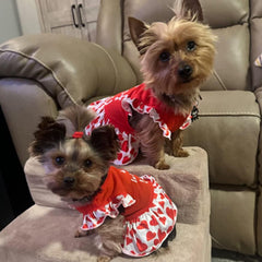 XPUDAC small-dog clothes floral dresses pack for teacups and terriers, easy color variation.