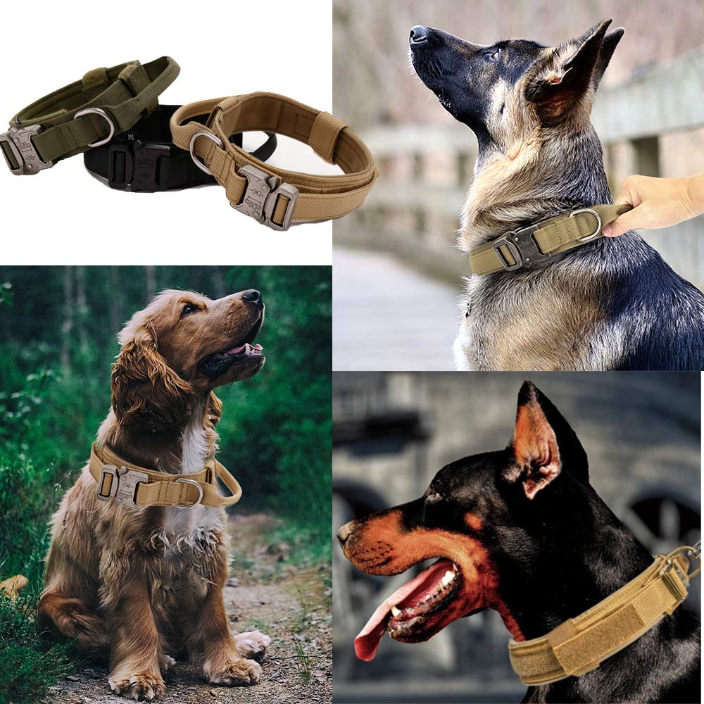 Xqpetlihai dog collar worn during training or walk