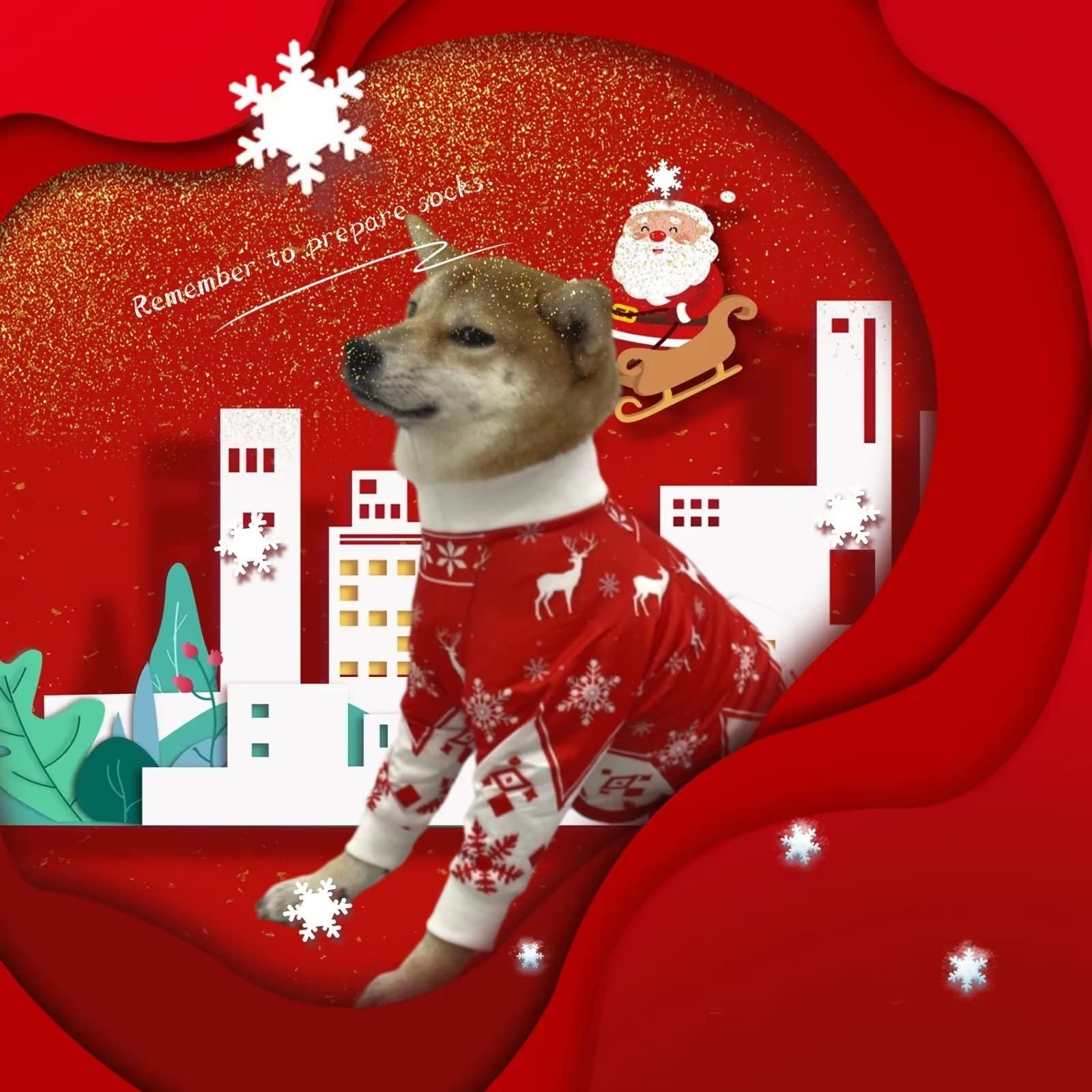 Xqpetlihai dog onesie covered abdomen provides full coverage to discourage licking.