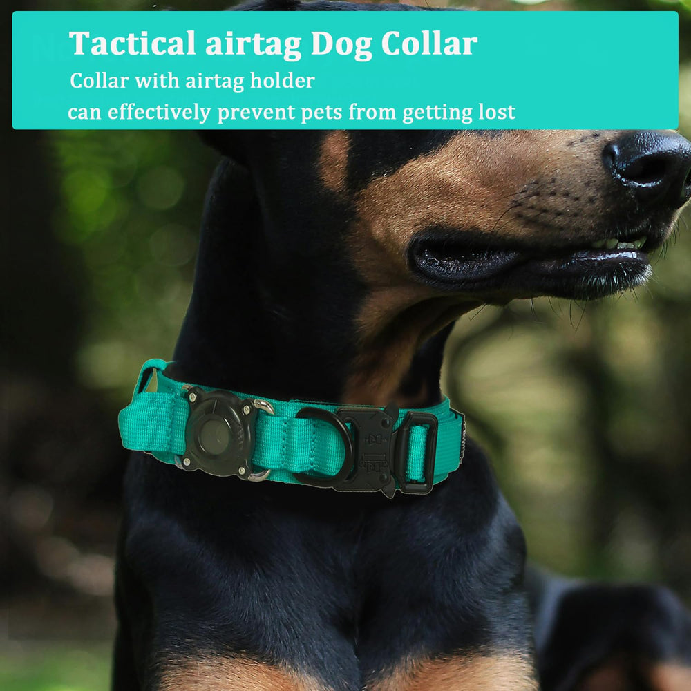 Xqpetlihai double-security buckle and magic sticker teal collar for reliable fit and easy on/off.