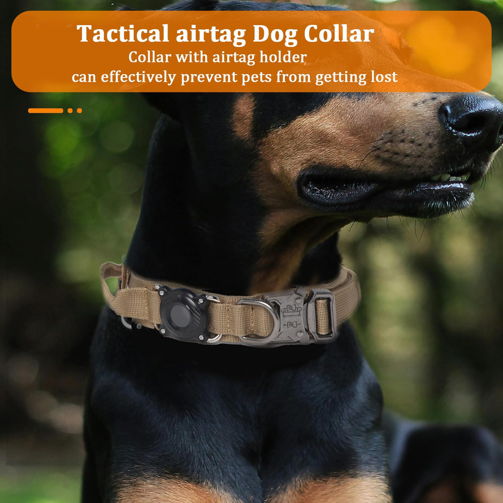 Xqpetlihai double-security buckle prevents accidental release during walks