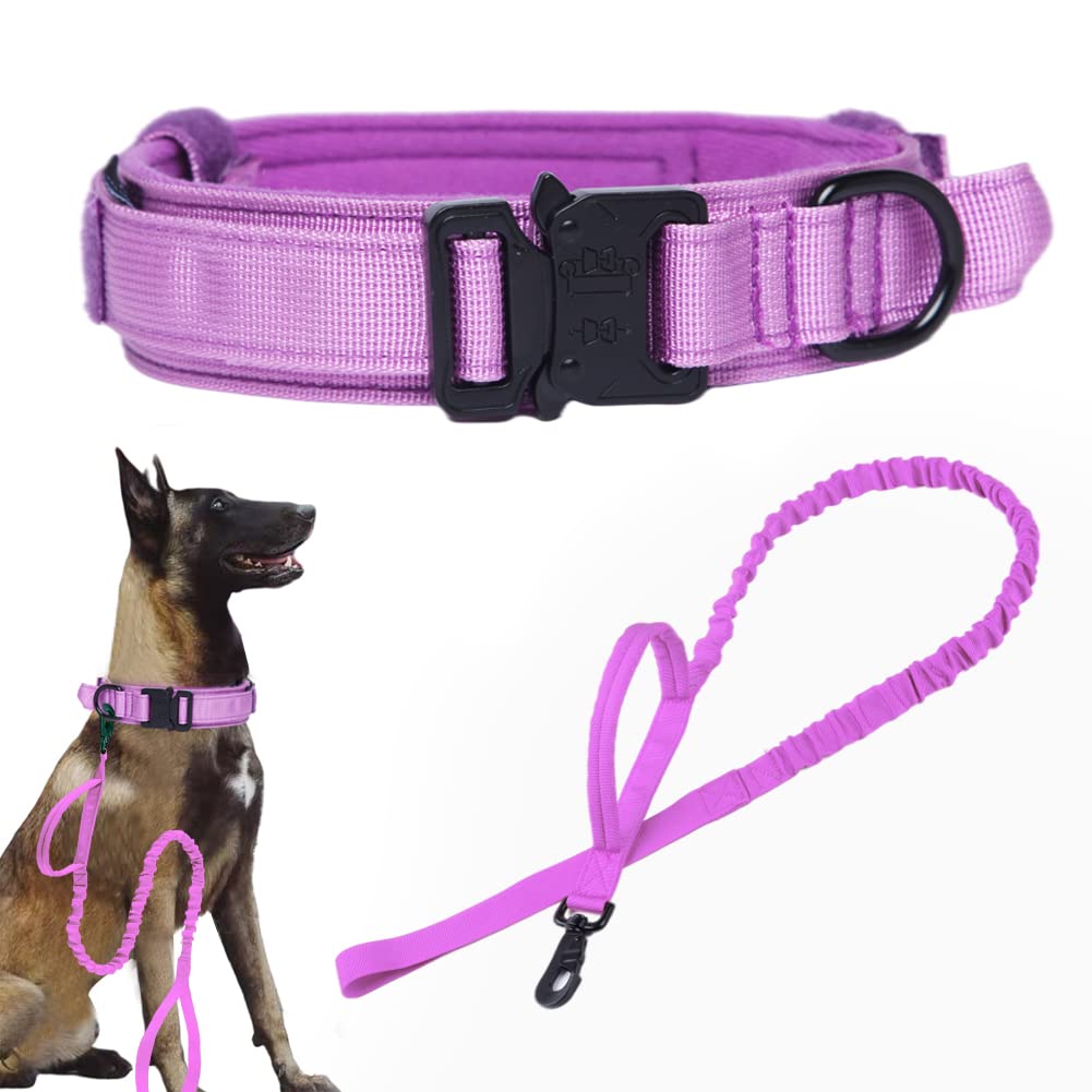 Xqpetlihai tactical collar purple XXL closeup buckle for durable control