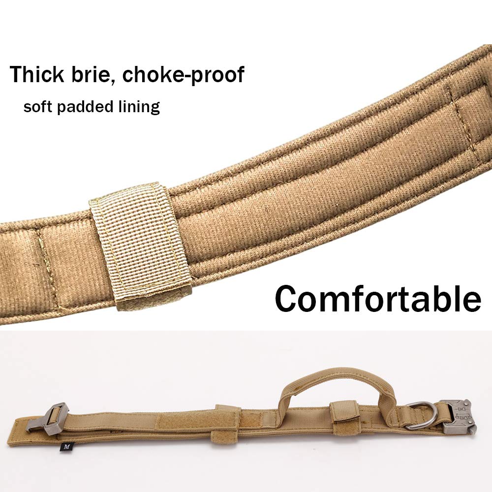 Xqpetlihai size chart and three-option collar sizing