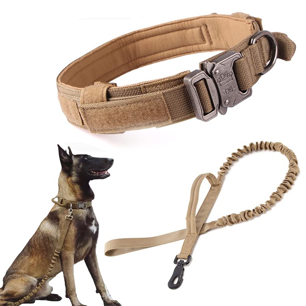 Xqpetlihai tactical dog collar buckle closeup highlighting durability