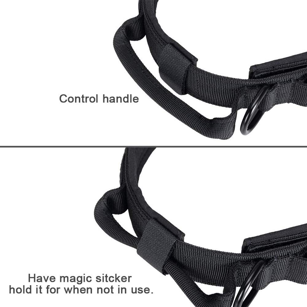 Xqpetlihai tactical collar size chart shows three fit options