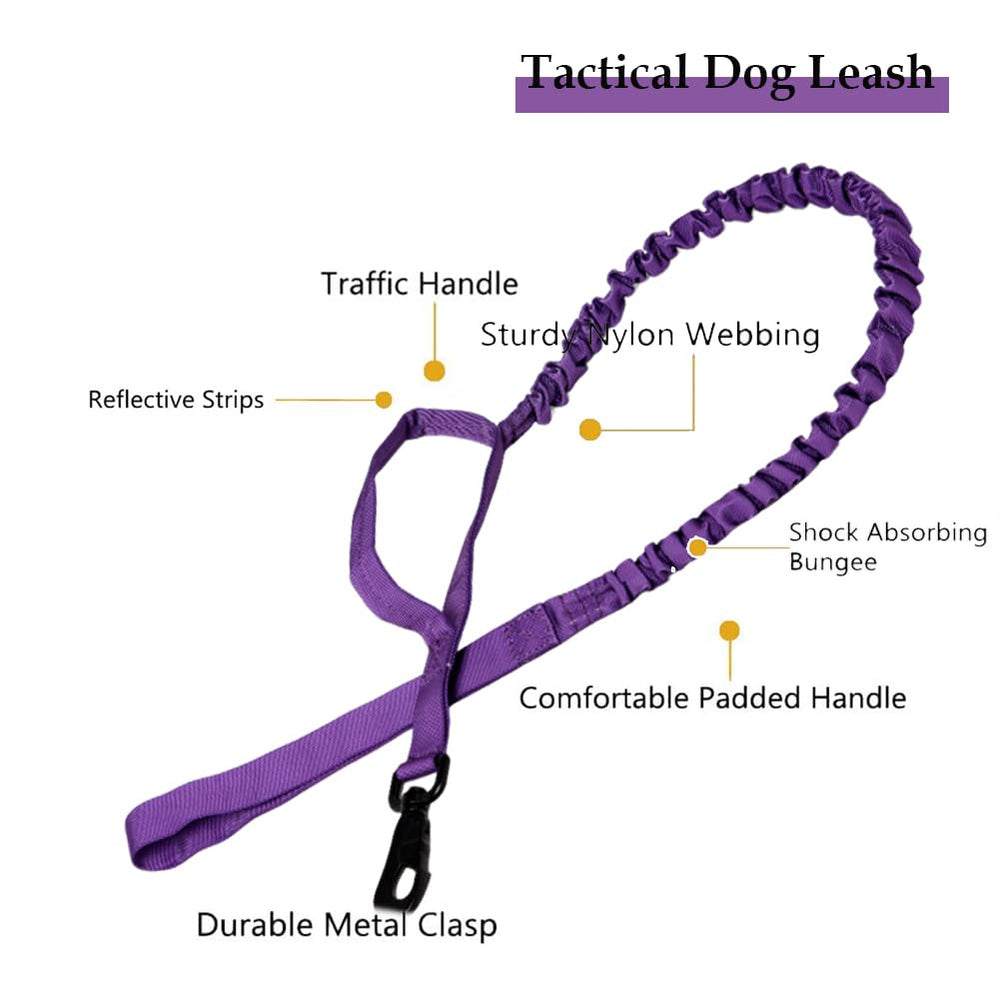 Xqpetlihai collar features waterproof-buckle to resist rain and splashes.
