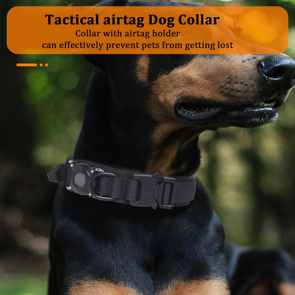 Xqpetlihai XXL dog collar on large dog demonstrating size and fit.