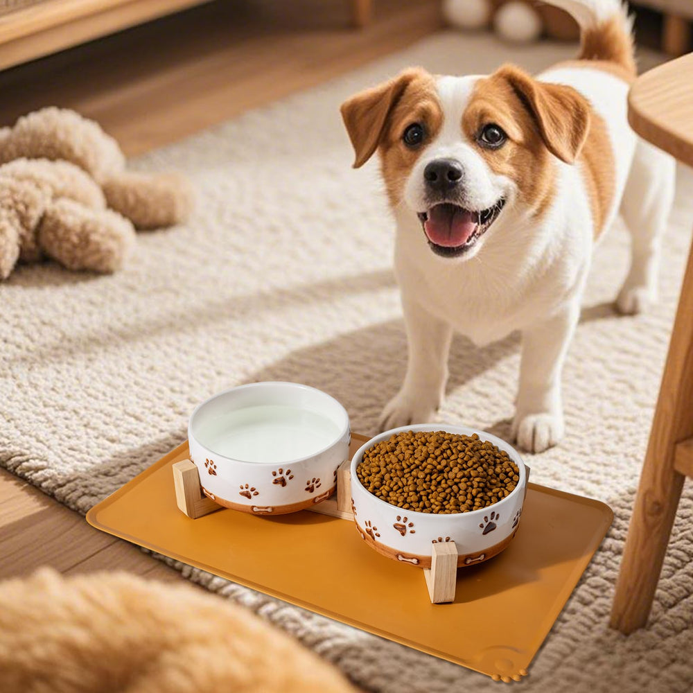 Ceramic bowls from XRBEOU that are dishwasher and microwave safe for easy care