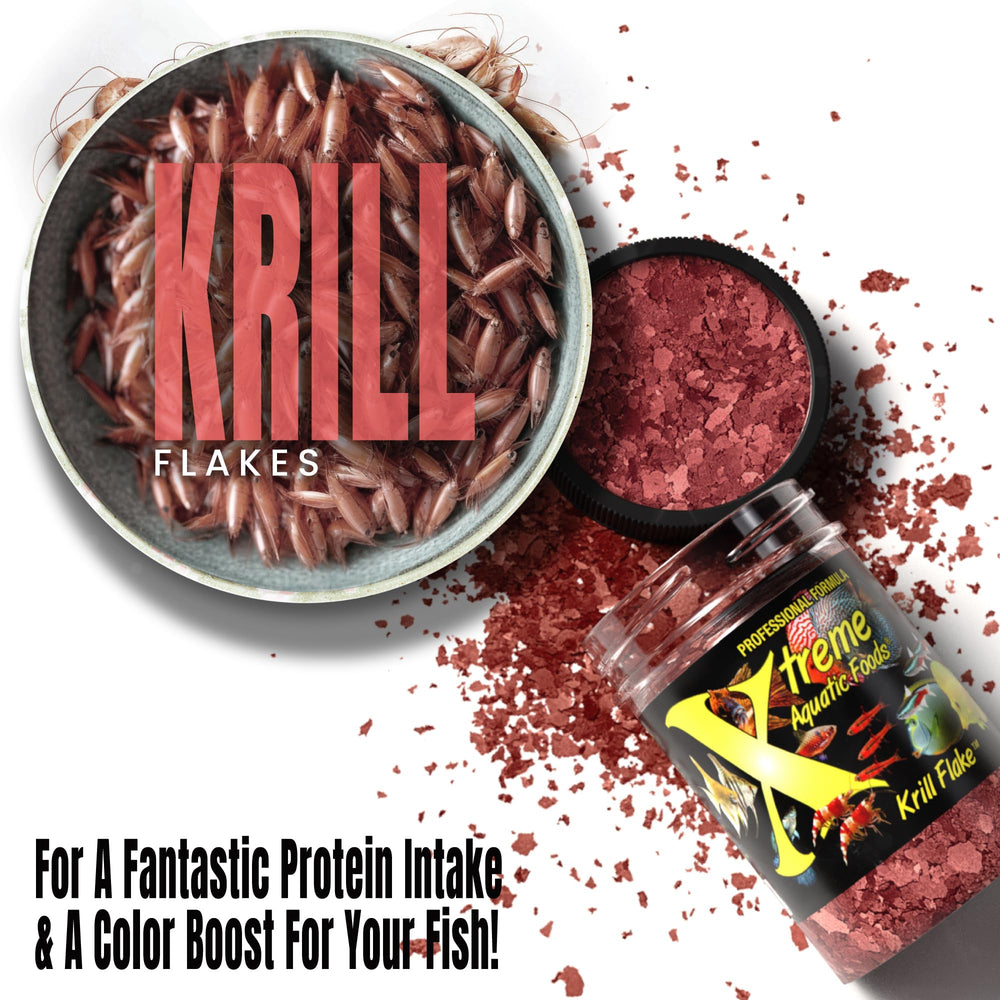 Xtreme Krill Flakes color vibrance in aquarium after feeding.