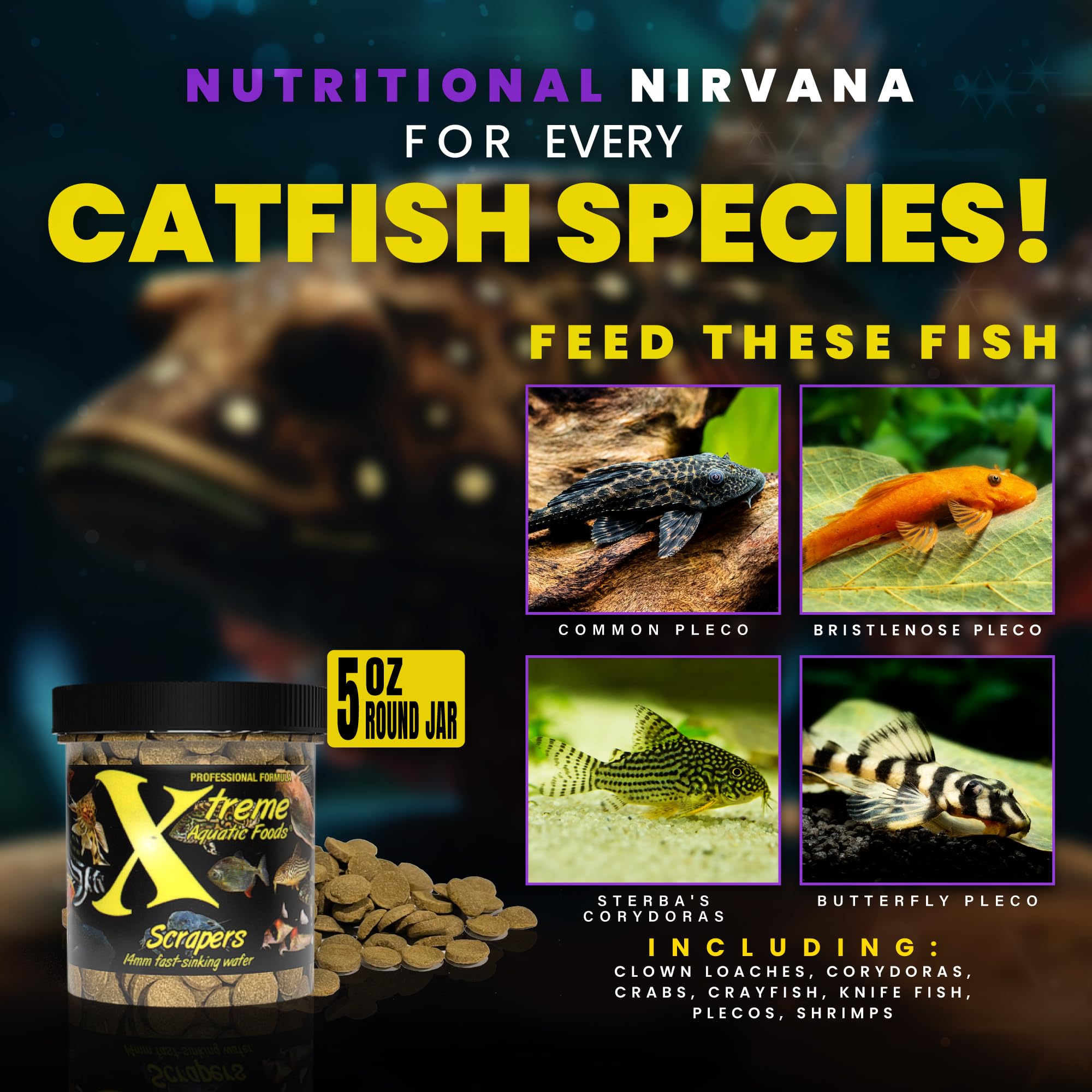 Xtreme Scrapers Wafers in feeding dish highlight 14mm size ideal for catfish consumption.