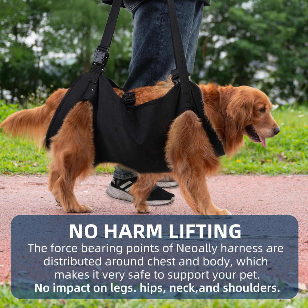 XUANNIAO Dog Lift Harness in use helping dogs enter vehicles.