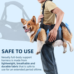 XUANNIAO Dog Lift Harness two padded handles aid daily walking.