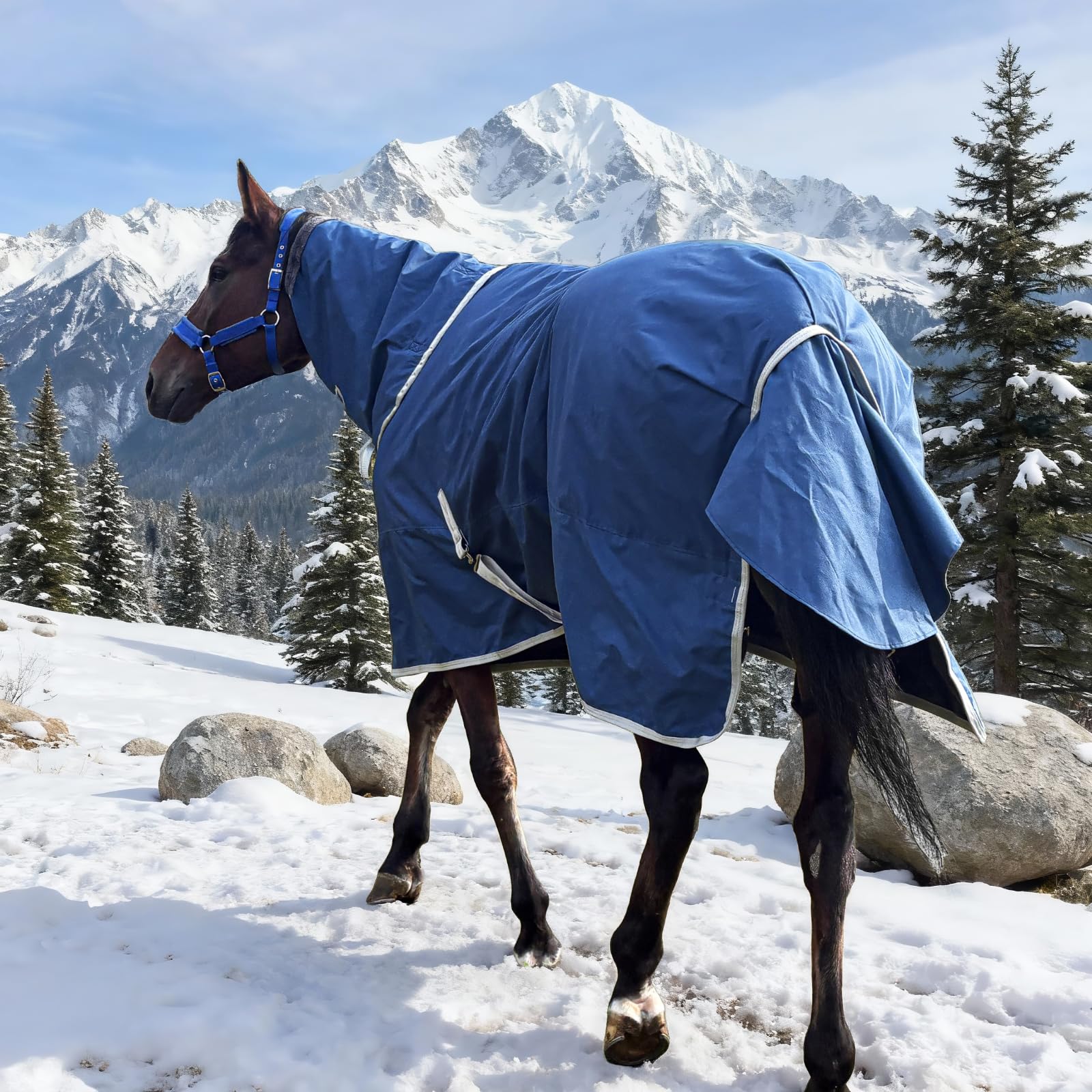 XUANNIAO Winter 1200D blanket front view shows rugged waterproof protection for horses