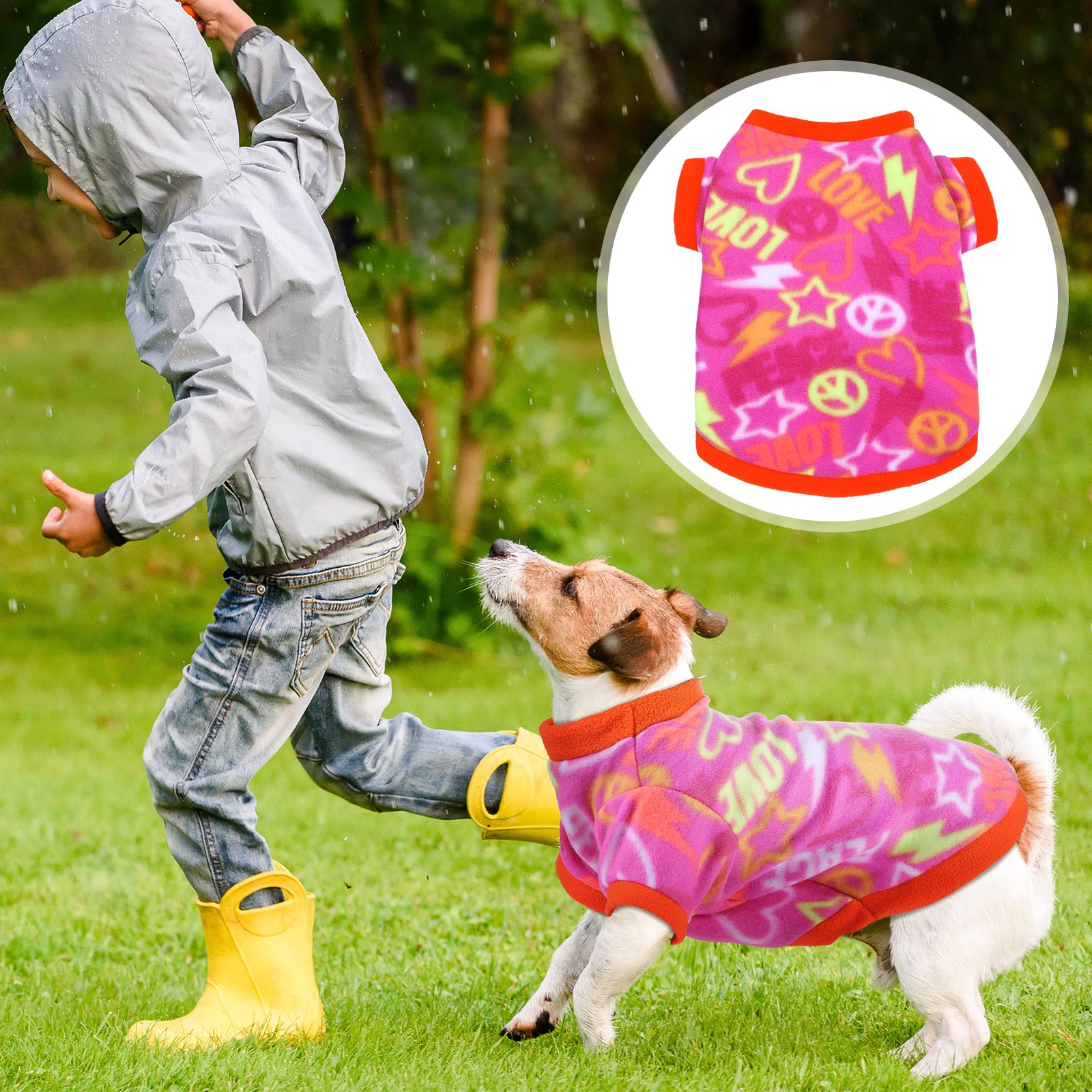 Xuniea Chihuahua wearing sweater demonstrates comfortable sleeve fit for small breeds.