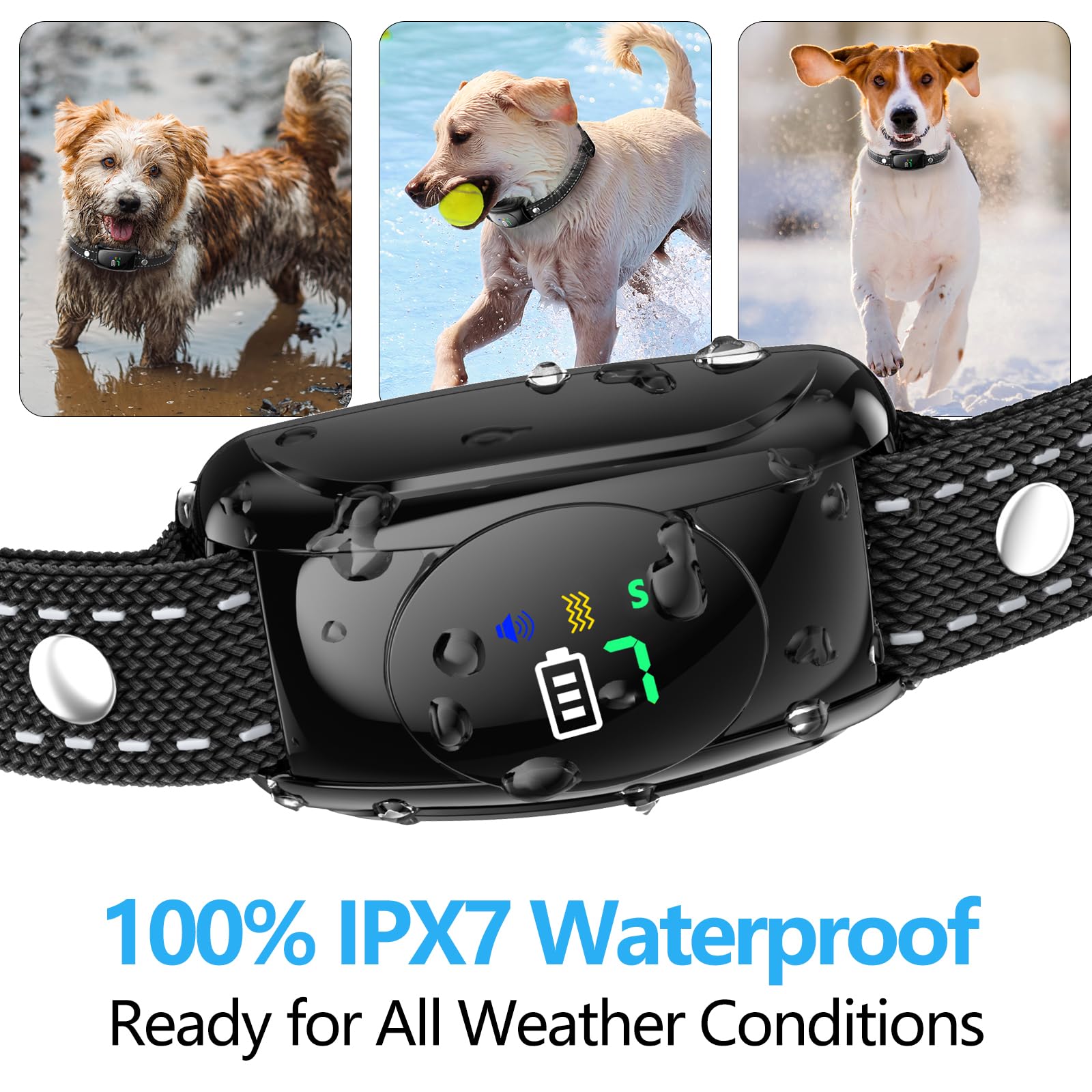 Xuwibaje IPX7 waterproof bark collar ready for all-weather adventures