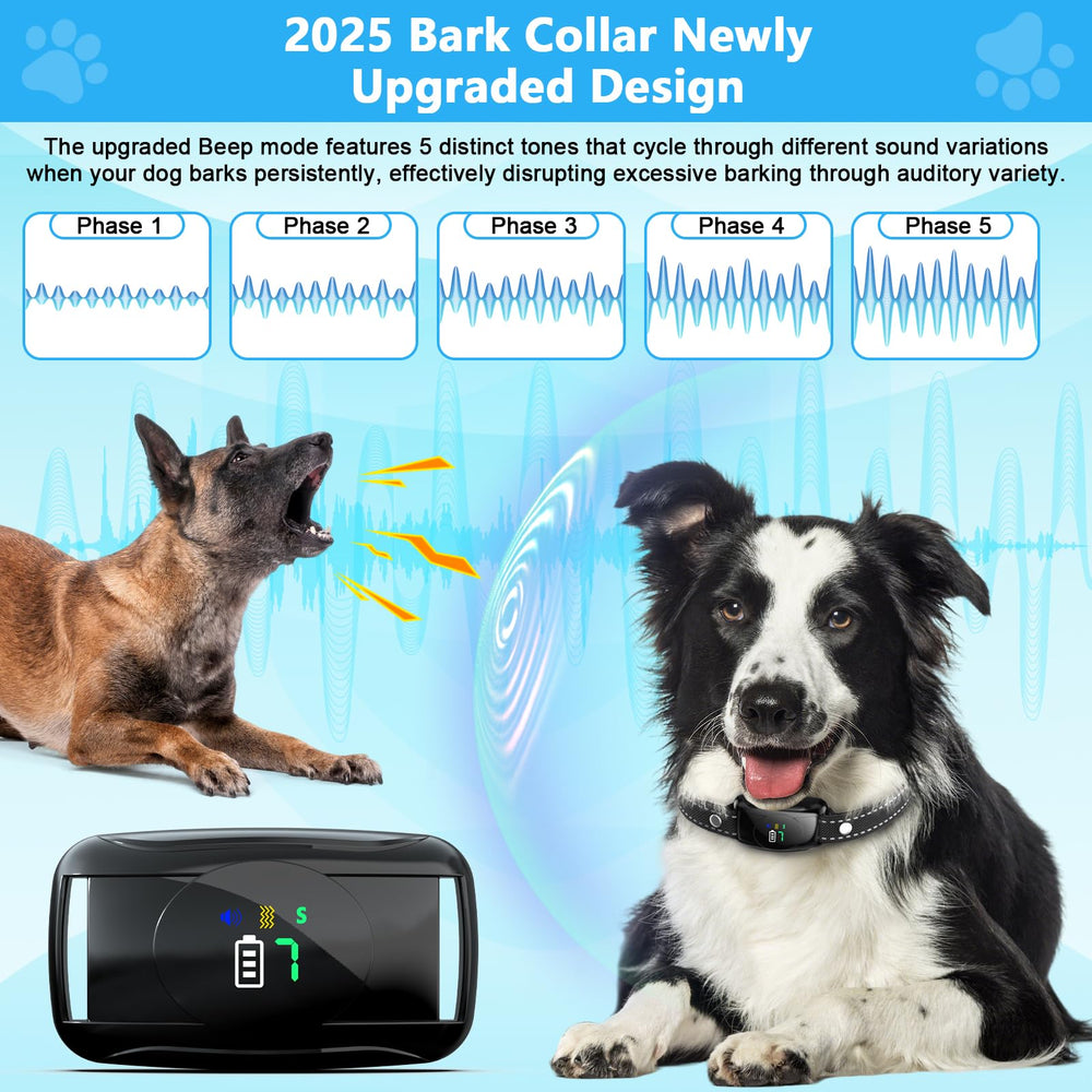 Xuwibaje medium-dog bark collar worn for mid-sized pet training