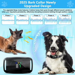 Xuwibaje medium-dog bark collar worn for mid-sized pet training